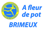 A FLEUR DE POT - Fleuriste - BRIMEUX - MONTREUIL SUR MER